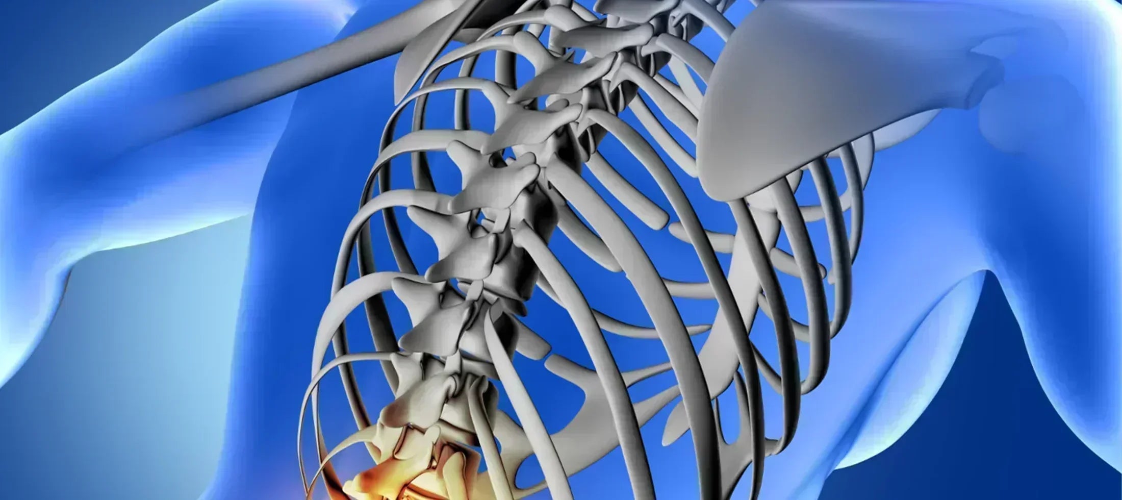 Symptoms, Causes, Treatments & Exercises of Sciatica