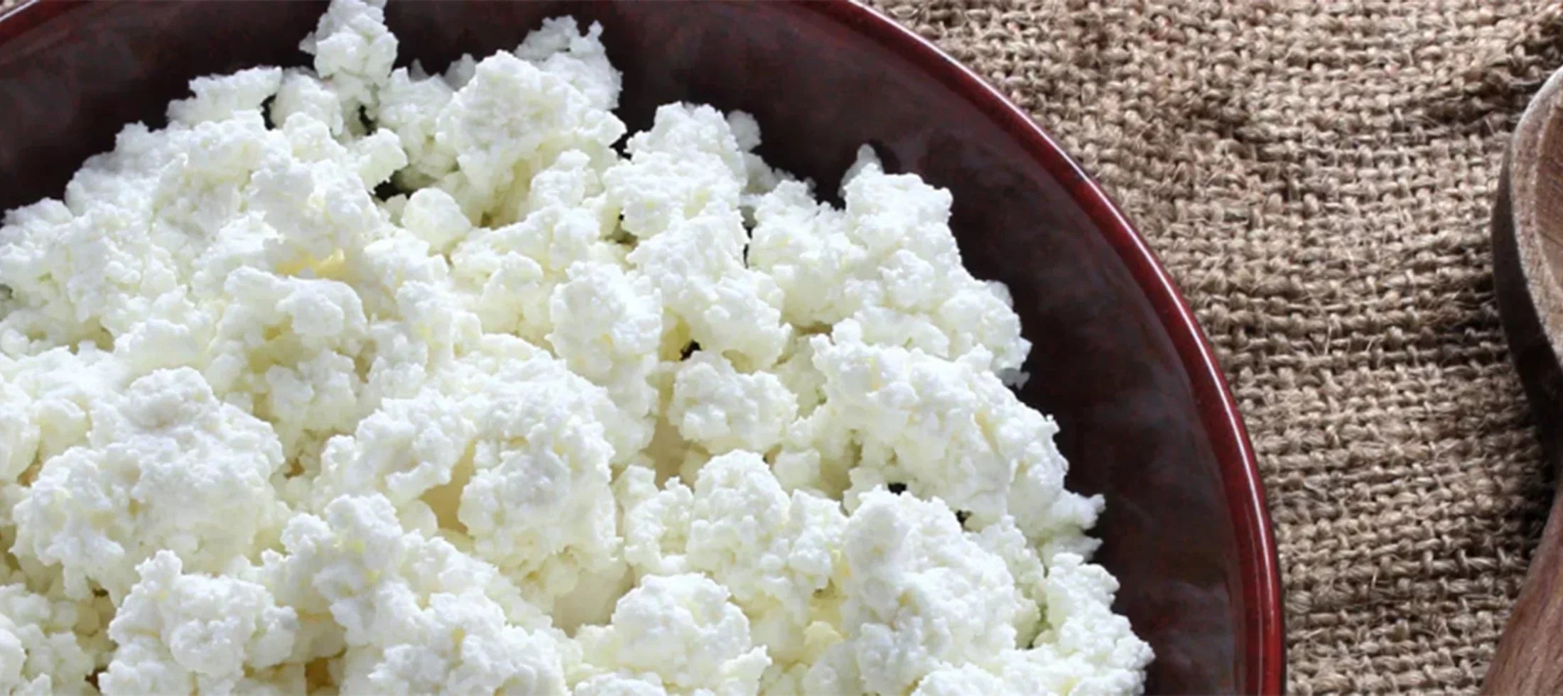 Cottage Cheese: Your Daily Protein Fix