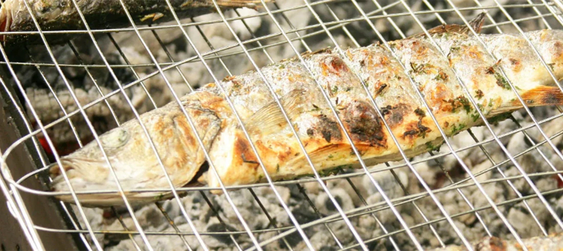 Sealicious delights: experience the tasty grilled fish