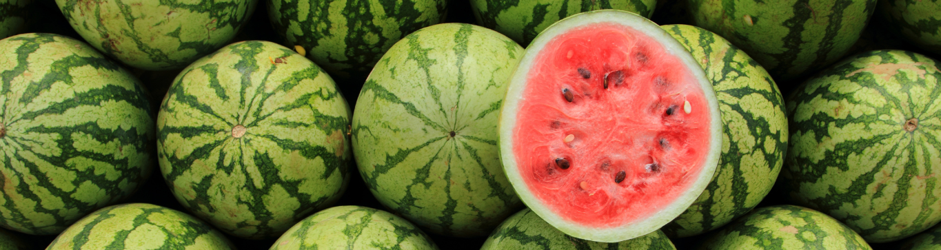 L-Citruline Watermelon