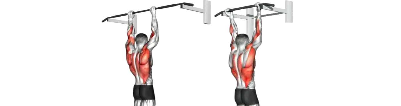 Pull-Ups vs. Chin-Ups