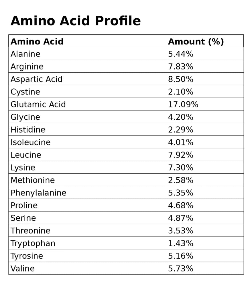 JACKED BROWN RICE PROTEIN