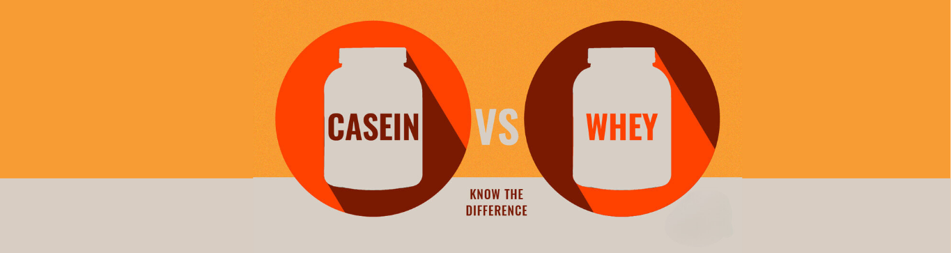 Difference between Casein and Whey Protein