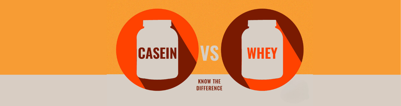 casein vs whey protein