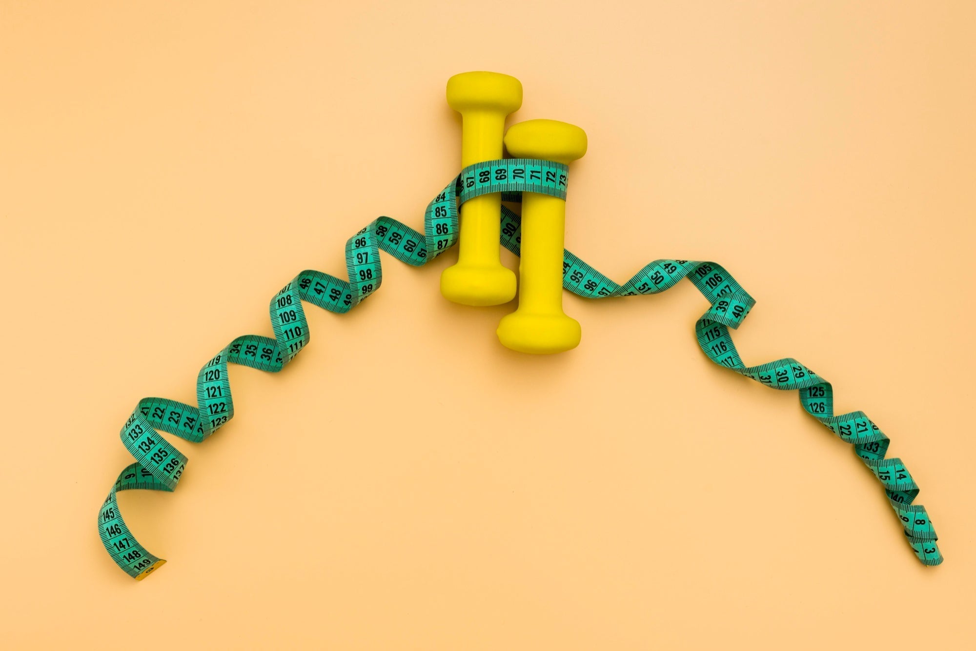 Choosing Between Fat Burners and L Carnitine for Safe Fat Loss