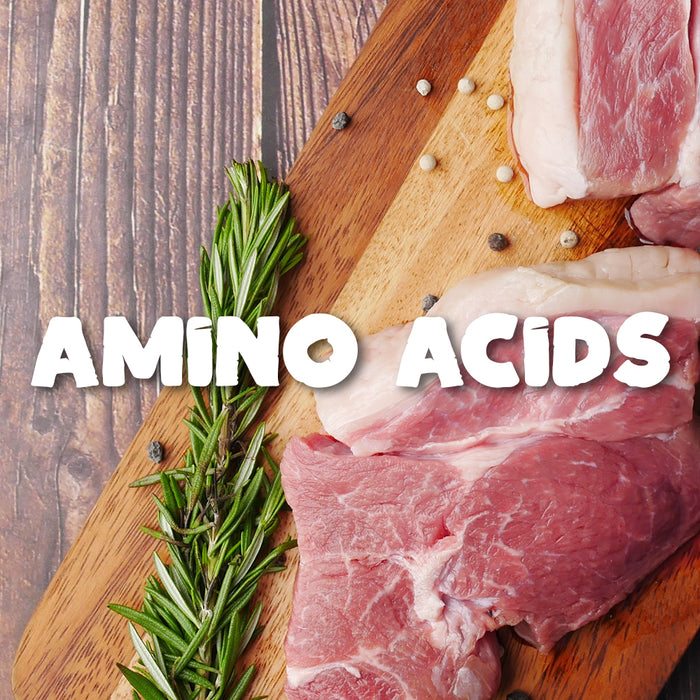 AMINO ACIDS - Definition, Types, Structure, Sources & Benefits