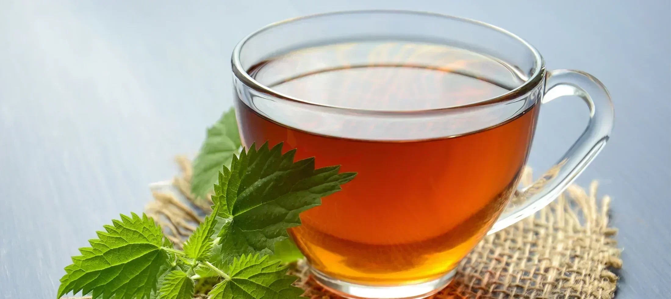 Benefits of Green Tea for Health, Skin & Weight Loss