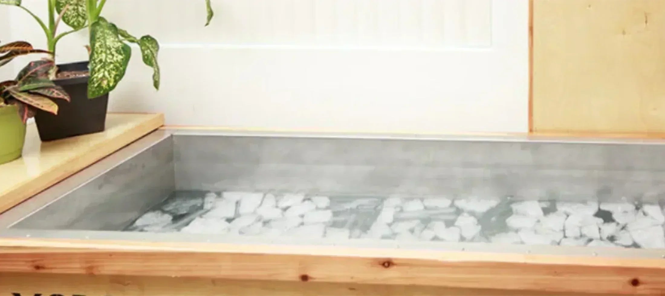 benefits of cold plunge