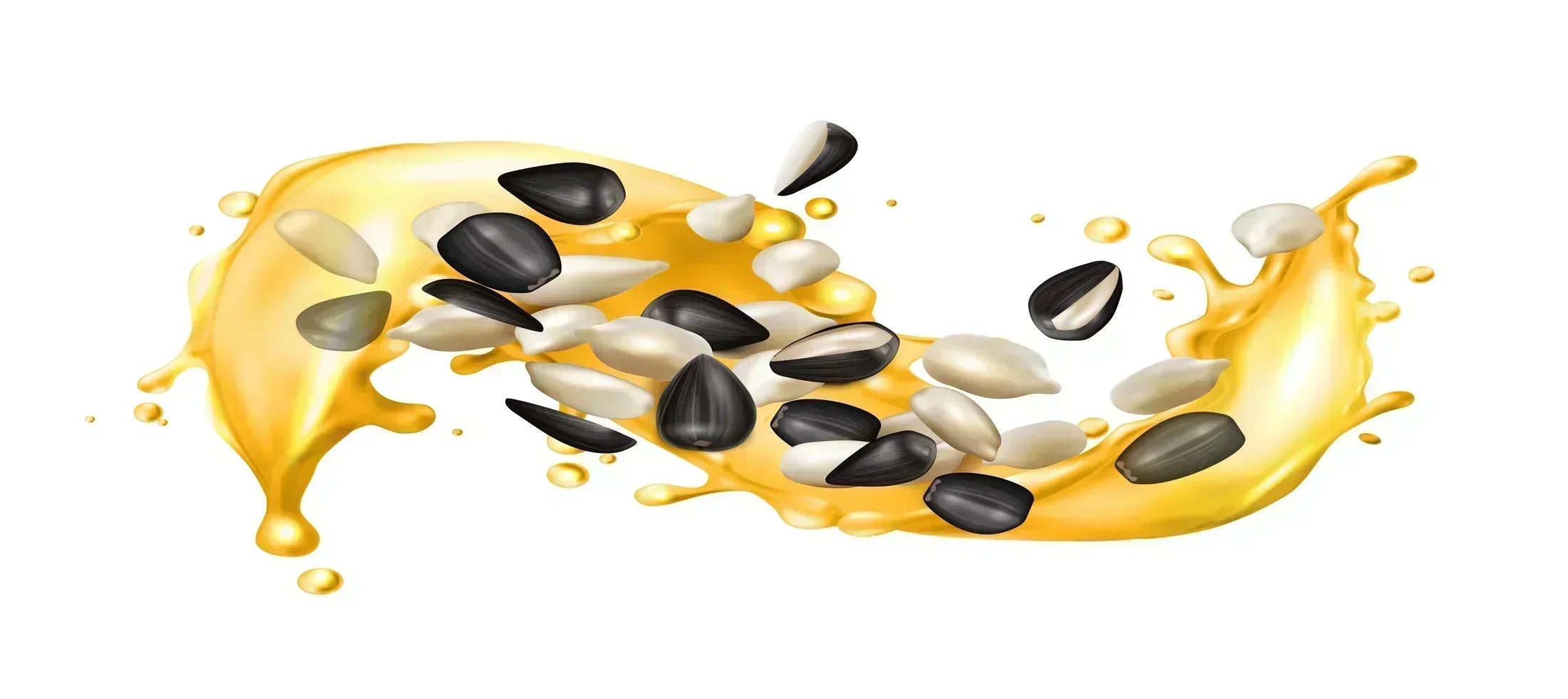 Black Seed Oil, black seed oil benefits, black seed oil uses, black seed oil dosage