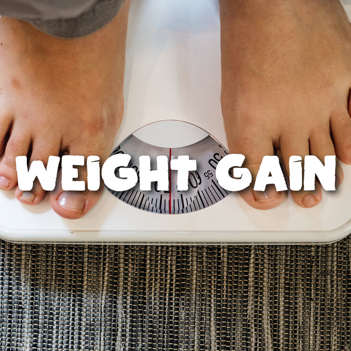 Weight Gain Diet Plan - Weight Gain Foods & Tips
