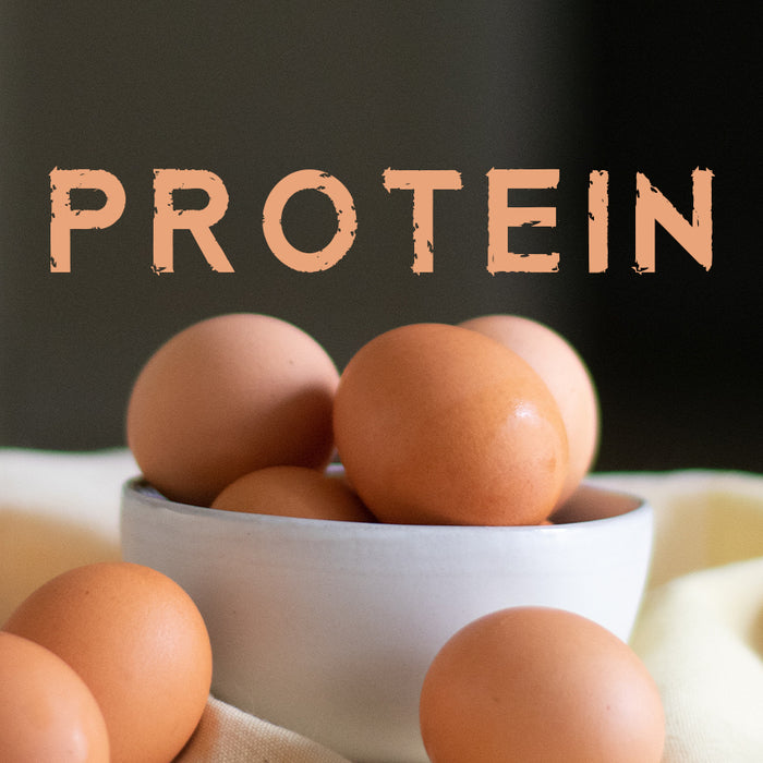 What is Protein