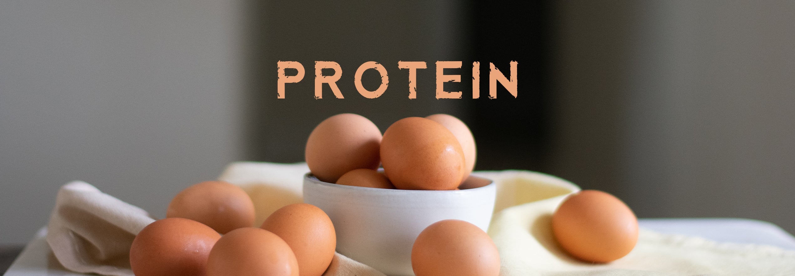 What is Protein