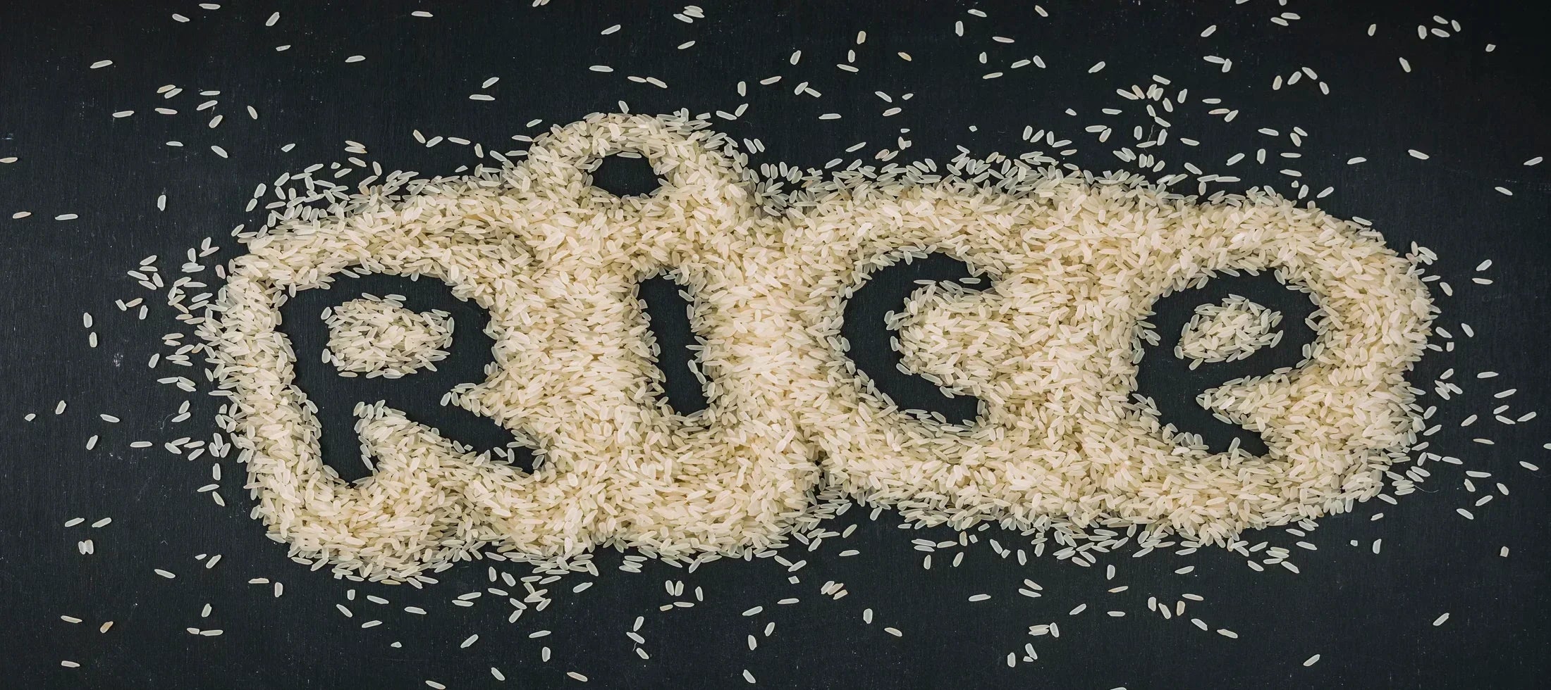 Brown Rice vs White Rice: Which is Healthier? – Jacked Nutrition