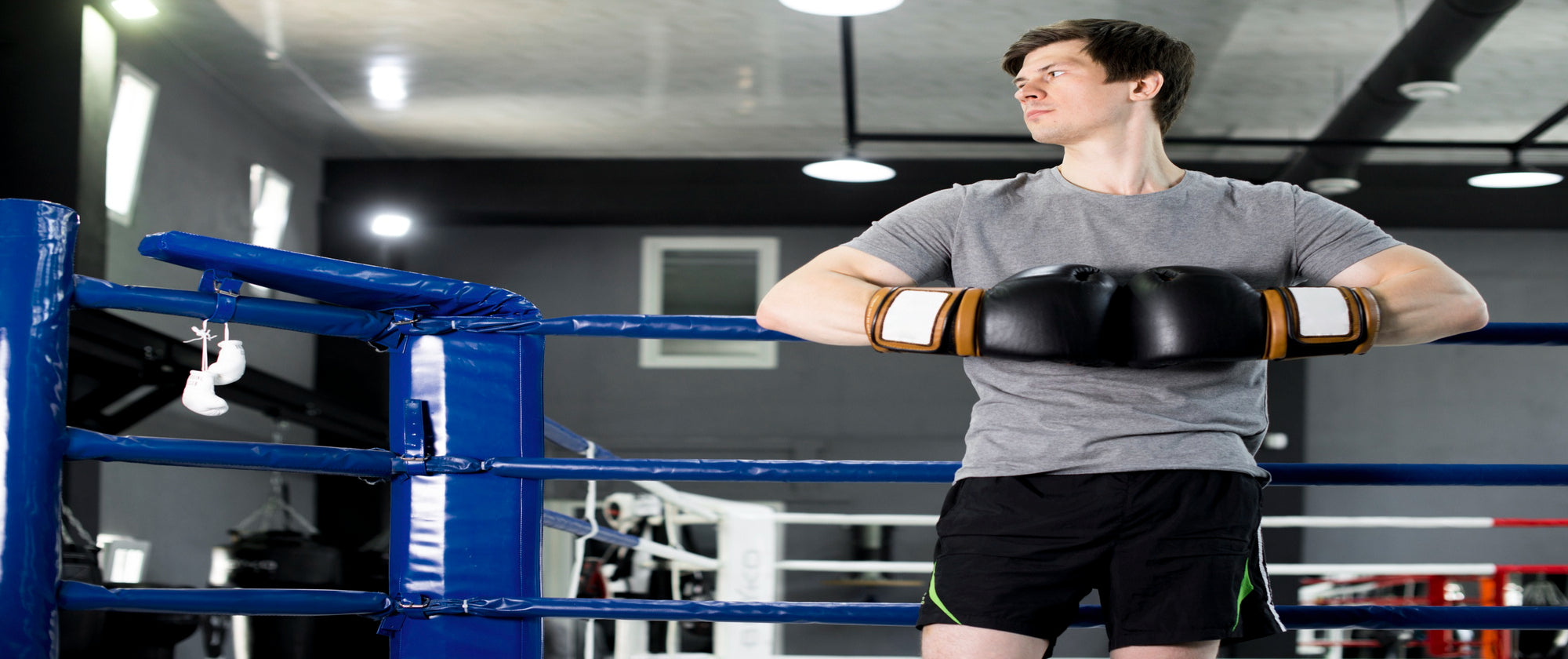 When Does Casein and Whey Protein Become More Beneficial for Muscle Repair