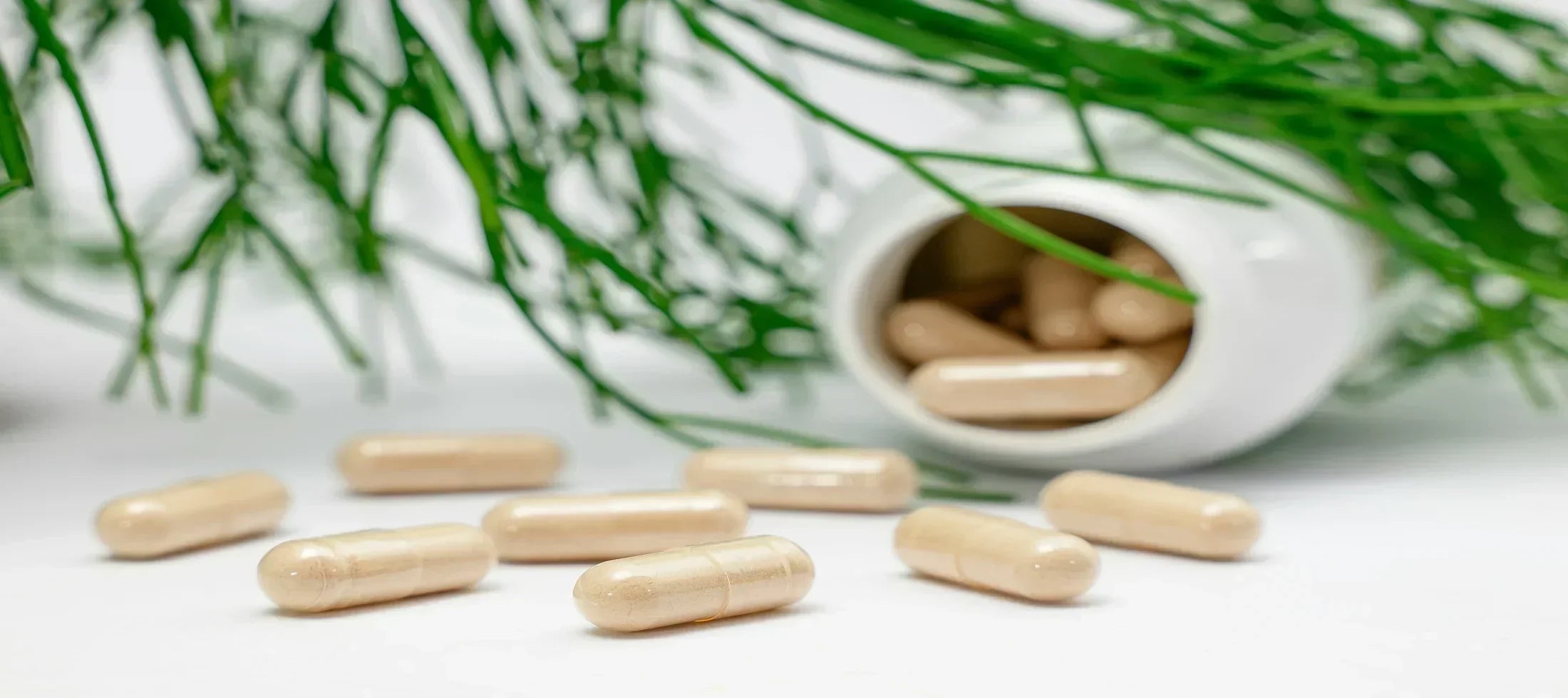 Ensuring Supplement Quality : DRAP Regulations and Consumer Safety – Jacked  Nutrition