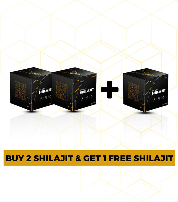 SHILAJIT ENERGY BOOST BUNDLE