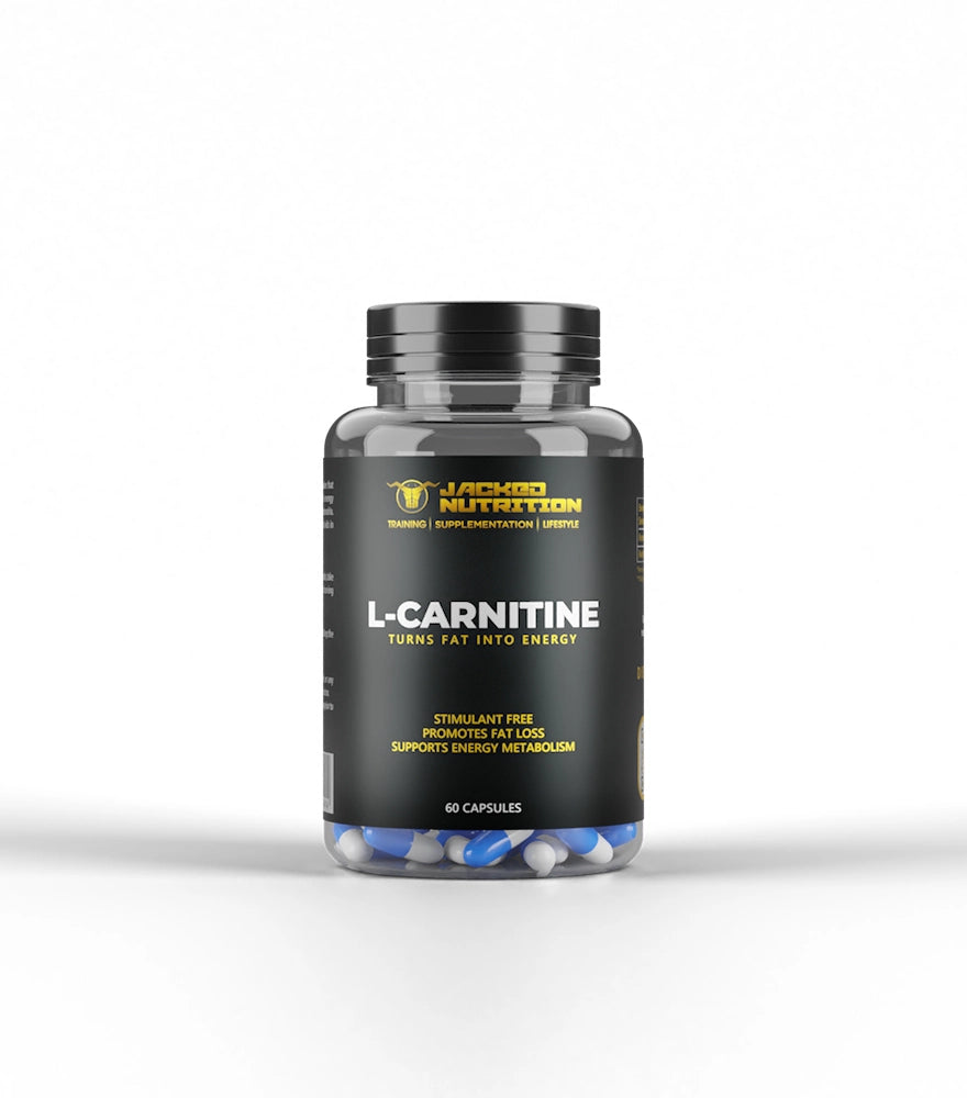 acetyl l carnitine brands in pakistan Buy L-Carnitine in Pakistan acetyl l carnitine brands in pakistan Buy L-Carnitine in Pakistan