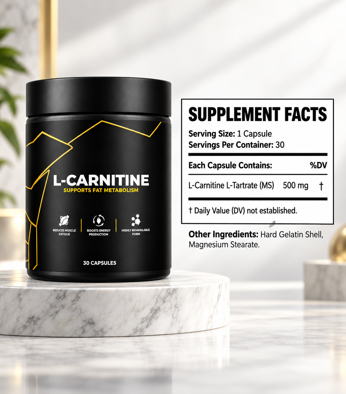 L-Carnitine in Pakistan